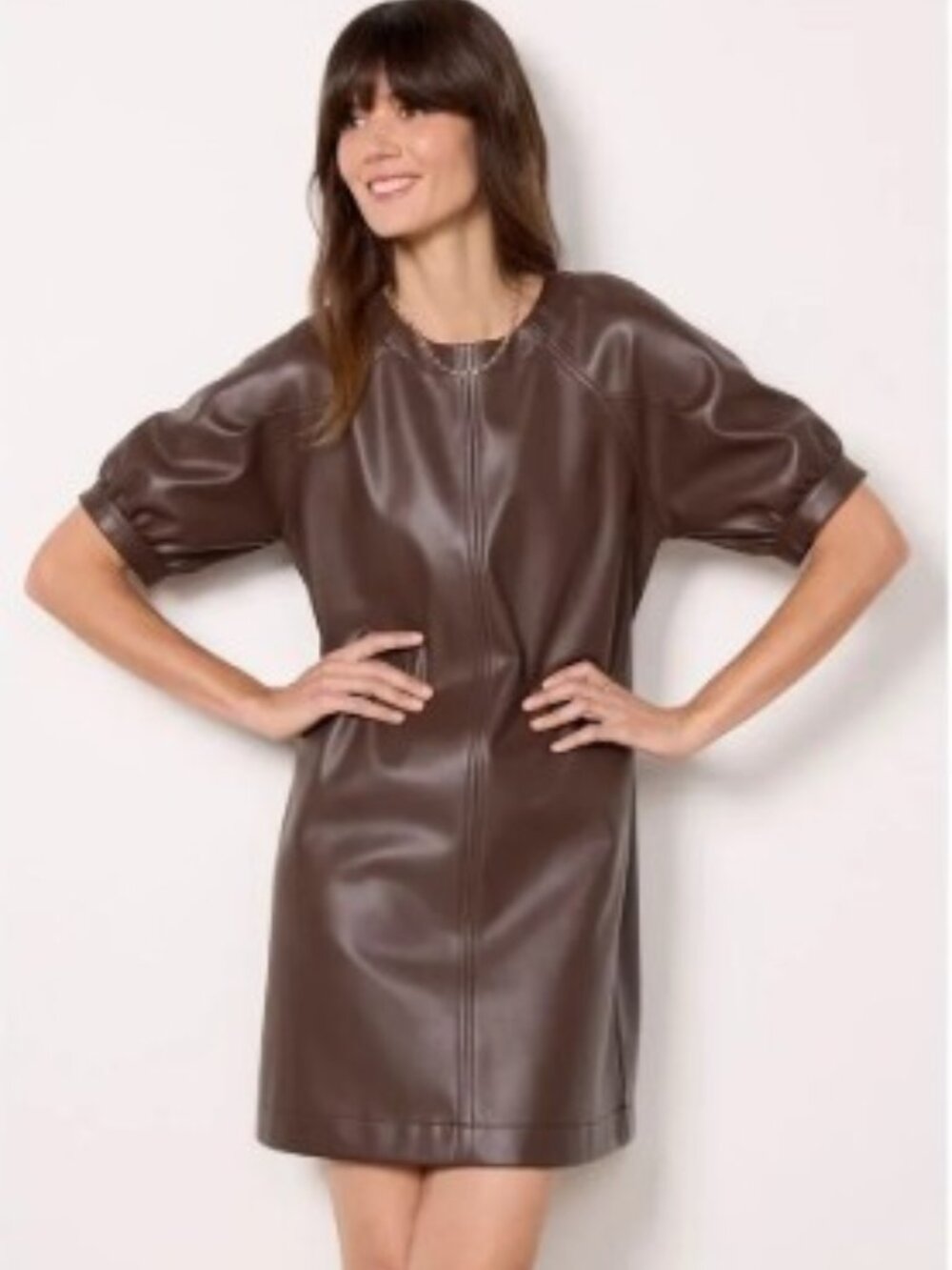 Evereve Danna Faux Leather Dress in Chocolate Brown